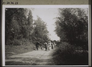 A broad road which leads from Kayin to the surrounding villages. (Porters, and on the right an evergreen bamboo)