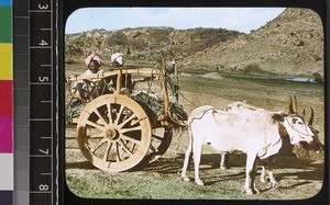 A bullock cart, India, s.d