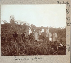 Boarding school girls in Mamba, Mamba, Tanzania, ca.1900-1912