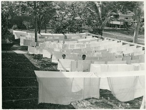Hospital laundry January 1937