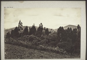 Bishop Downs bei Ootakamand (Blauen Berge)