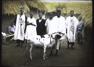 A muslims with their pet sheep, which has to go everywhere with him