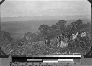 Field laborers and landscape view of the Mbeya mountains, Igali, Tanzania