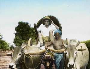 Mr B Goodall in bullock cart, India, ca. 1930