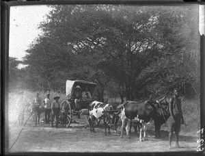 Mr and Mrs Lenoir on a journey, Antioka, Mozambique, ca. 1901-1907