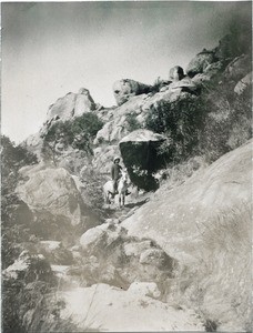 Path in the district of Ambohibeloma, in Madagascar