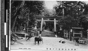 Kasuga shrine, Nara, Japan, ca. 1920-1940