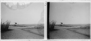 A plain landscape near Sefula