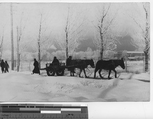 Approaching the Mission Compound at Fushun, China, 1937