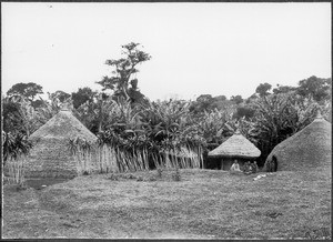 Chagga huts in Moshi, Tanzania, ca.1901-1910