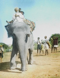 Elephant ride, India, ca. 1930