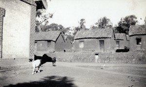 Women hospital in Antanambao, Madagascar