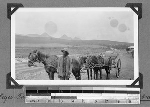 Coachman with a carriage, Clarkson, South Africa, 1934