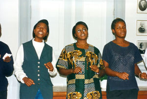 Tanzanian participants in Democracy course at Brenderup folk high scool. Visiting Danmission