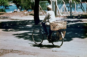 Diasserie "Giv os i dag..." Folkekirkelig mission i Asien beregnet for børn. Handel: Det meste af kaffen eksporteres. Man må selv transportere kaffe til nærmeste opkøber