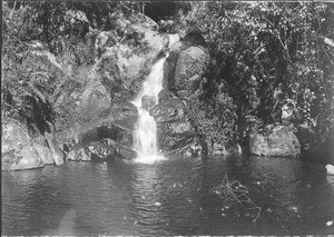 Water basin in the primeval forest, Tanzania, ca.1900-1914