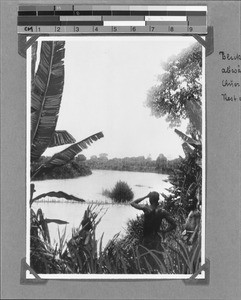 Fish-trap in the Kiwira River, Nyasa, Tanzania