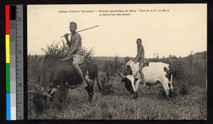 Boys riding cows, Malawi, ca.1920-1940