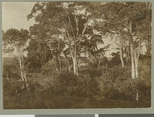 Mission seen through the trees, Chogoria, Kenya, ca.1922