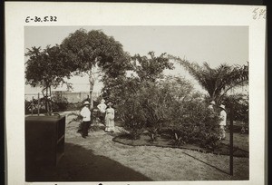 Im Garten der Basler Missionshandlung in Bonaku (Kam.). Br. Leimenstoll, Geschw. Hoffmann, Br. Link u. Feeser