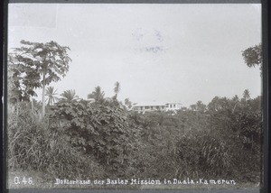 "21. Doctor's house and hospital in Bonaku (Cameroon) seen from a distance."