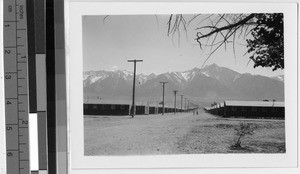 Main road in the Japanese Relocation Camp, Manzanar, California, ca. 1944