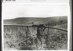 A christian from Banso carries palm-ribs for building the church. On his head he has an indigenous umbrella to protect himself from rain and sun. He has made it himself of palm leaves. The long sticks are palm-ribs, and very useful for building houses