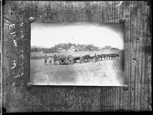 Wagon, Elim, Limpopo, South Africa