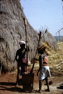 Two women mashing corn, Cameroon, 1953-1968