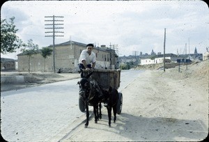 Man on cart