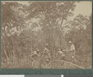 Clearing site for hospital, Ancuabe, Mozambique, March 1918