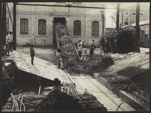 Rohr für die Quetschmühlen. Ing. Santa Ana 1919, Canchón Norte