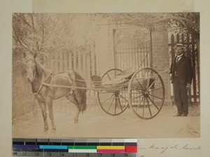 Ole Klanderud with horse and cariole, Antananarivo, Madagascar, ca.1896