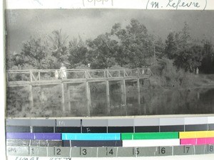 Wooden bridge near Bethel, Morondava, Madagascar, 1935(?)