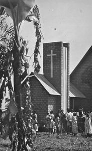 Den lutherske kirke, ELCT, Tanzania. Nyabuyunza Kirke med menigheden udenfor. (Anvendt i: Dansk Missionsblad nr 24/1968)