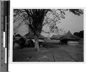 Indigenous village with sacred tree and magic huts, East Africa