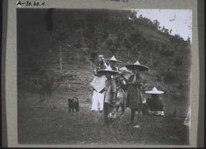 Group of cow-herders