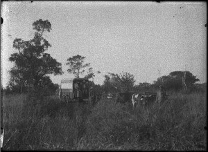 Mr and Mrs Lenoir on a journey, Mozambique, ca. 1901-1907