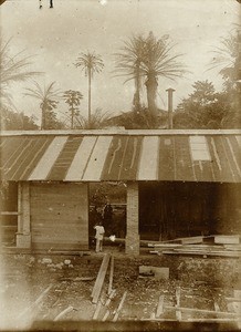 Sawmill of Ngomo, in Gabon