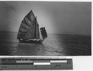 A Chinese junk on it's way to Yangjiang, China, 1924