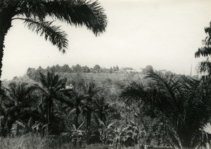 Landscape, in Cameroon