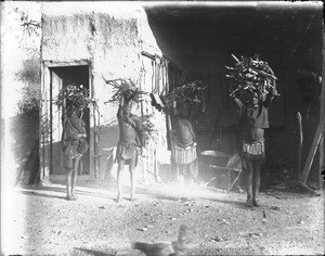 African boys carrying wood on their head, Shilouvane, South Africa, 1906