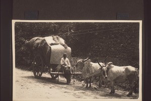 Coolie wagon at the roadside