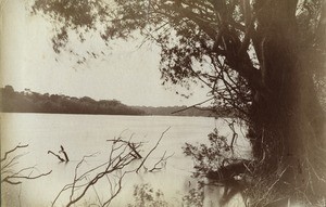 On the upper Zambezi near Mosandungu's, in Northern Rhodesia, Zambia