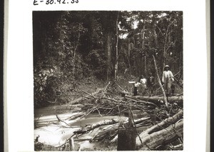 Crossing a river above Bombe