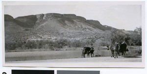 Magaliesberg, South Africa