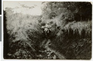 Head of the caravan, Ethiopia