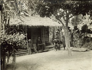 Type of hut, in Cameroon