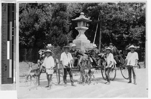 Maryknoll Fathers feeding deer at Nara, Japan, ca. 1938