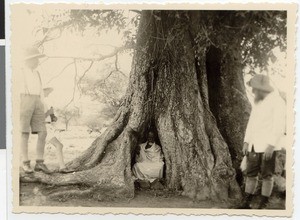 Sacred sacrifice tree at Lake Kilole, Ethiopia, 1927-1941